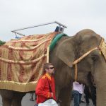 Elephant Baraat at Indian Wedding in NY 2014